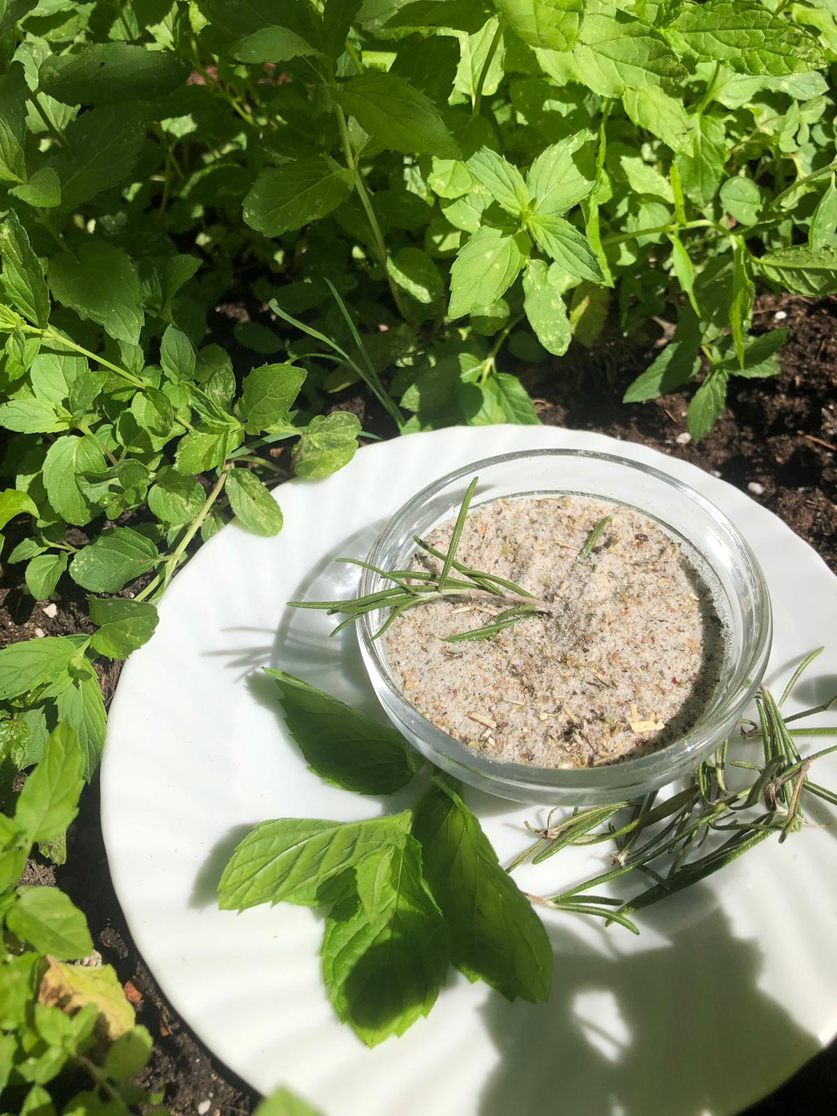 Kräutersalz im Garten frisch geerntete Kräuter